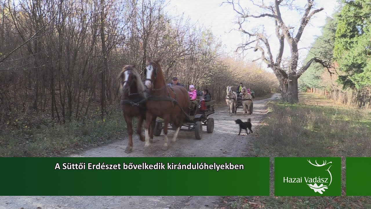 A Süttői Erdészet bővelkedik kirándulóhelyekben - 2015.12.12-i adás