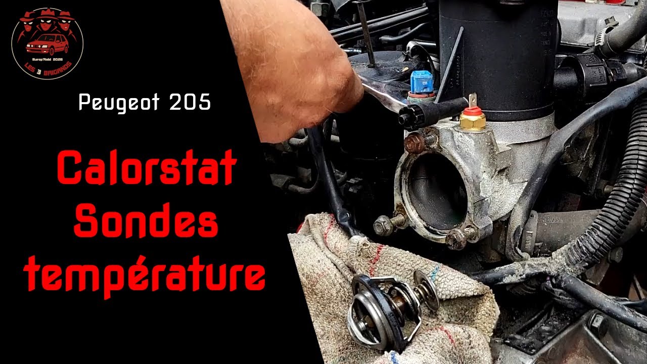 021 - changement Calorstat et pose de sondes de température d'eau