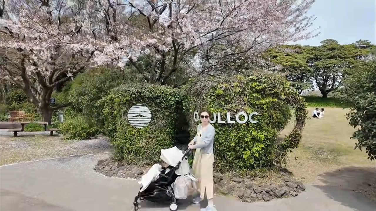 Flying Into Jeju Island, Parnas Hotel, and Osulloc Tea House