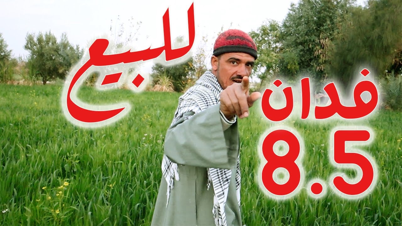 للبيع 8 ونص فدان ارض قديمه استثمار علي بير اعماق | الفرافره | طائر الوادي