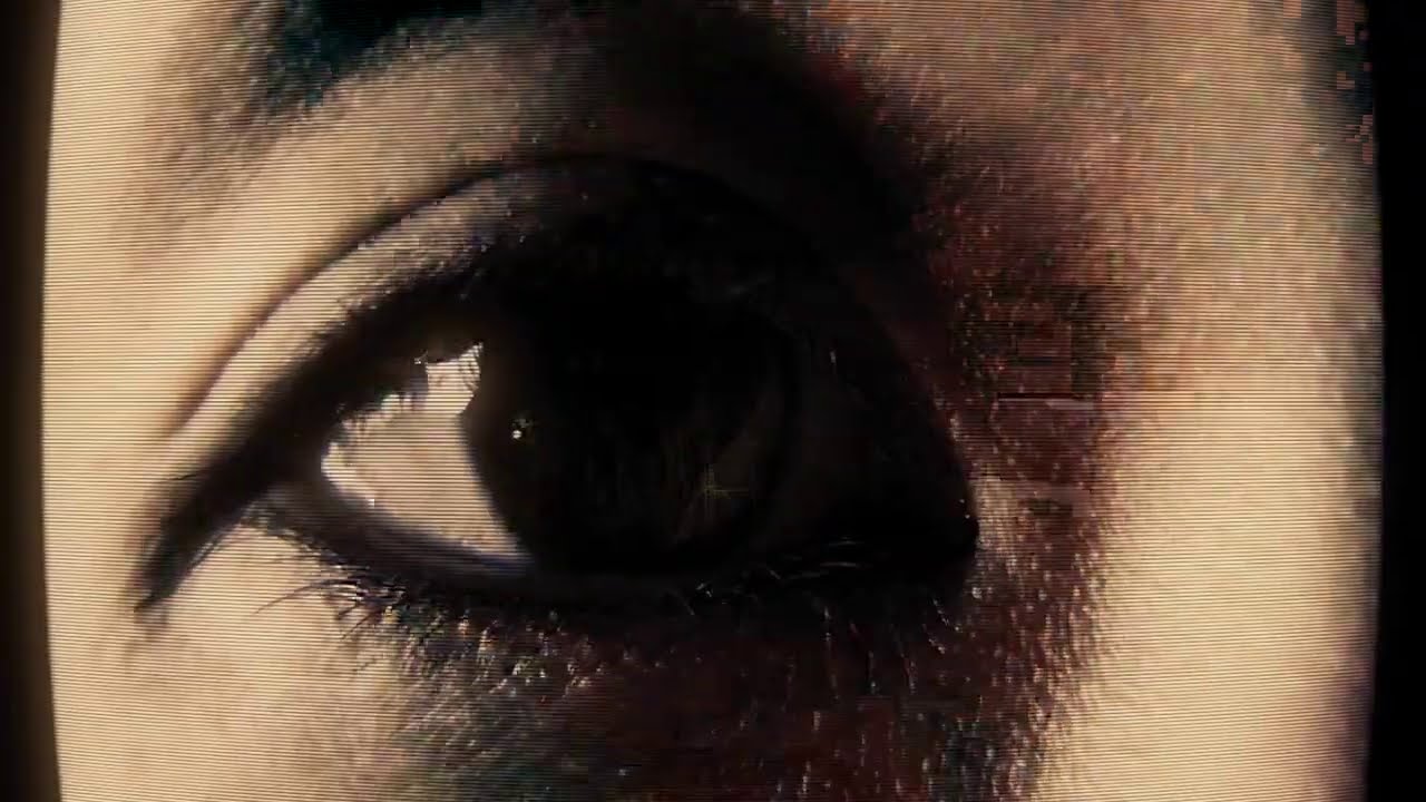 Sturgill Simpson - Make Art Not Friends (Official Video)