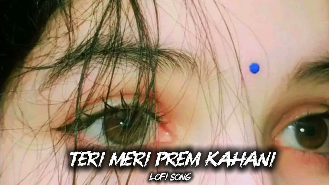 Teri Meri🎧🎶 [Slowed+Reverbed] I Hindil TeriMeri Lofi Songs🥹😍