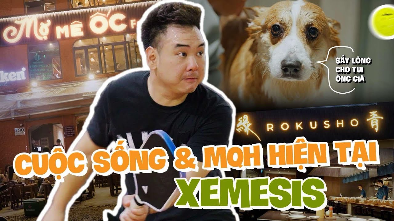 Cuộc sống, mối quan hệ v&agrave; c&ocirc;ng việc của Xemesis sau thời gian sống ẩn nửa năm
