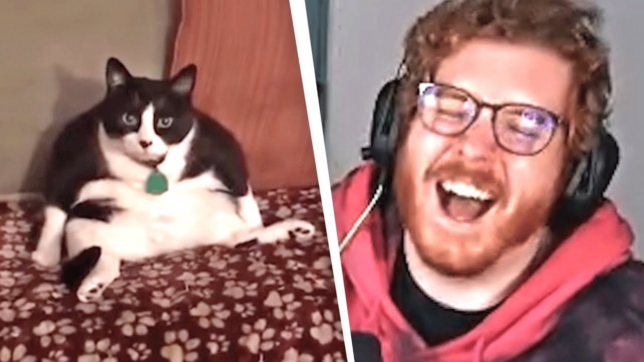 Unge REAGIERT auf UNUSUAL MEMES V112 😂🐈 | ungeklickt