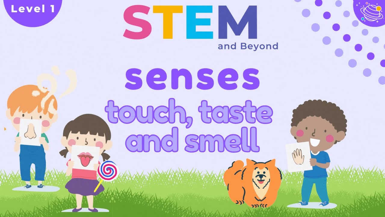 Senses - Touch, Taste And Smell | KS1 Year 1 Science | Home Learning