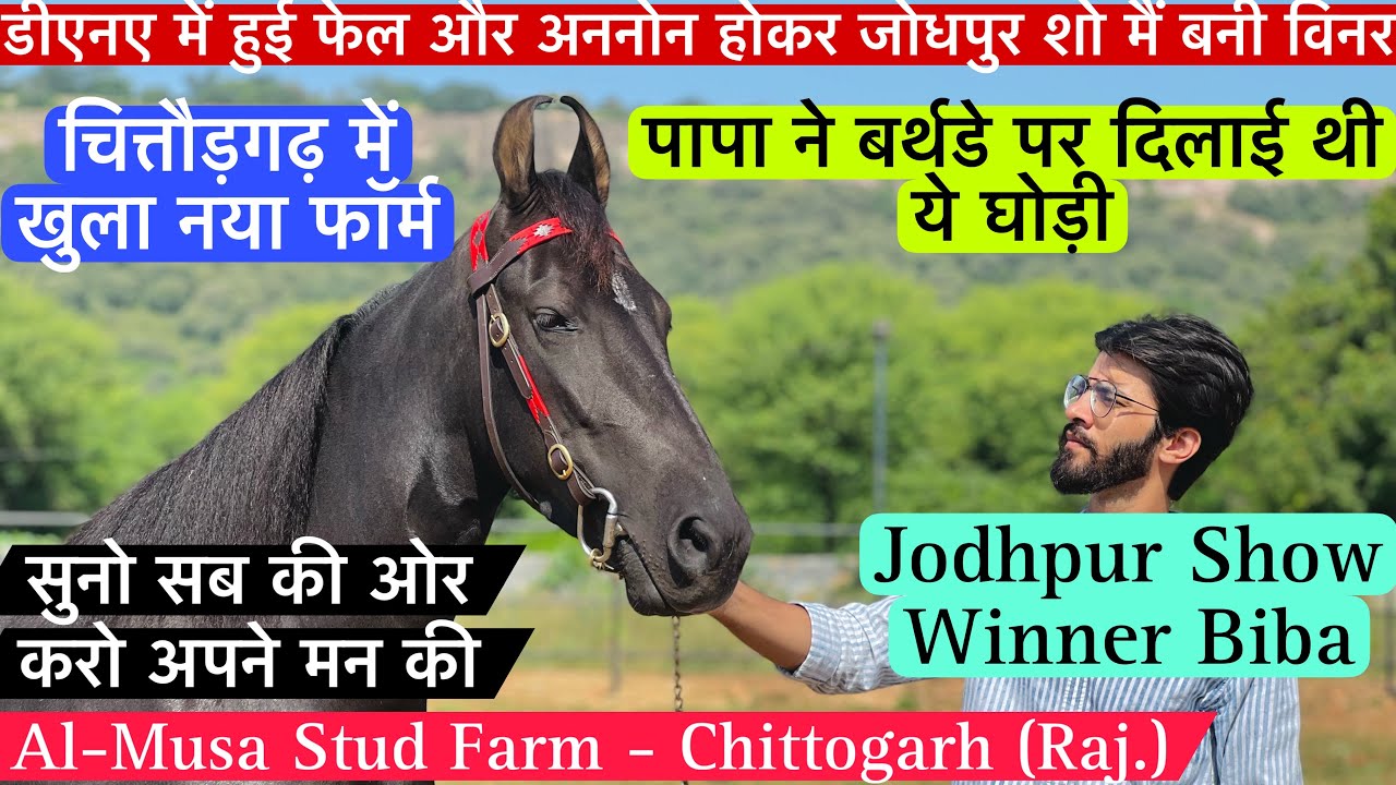 चित्तौड़गढ़ में खुला नया फॉर्म पापा ने बर्थडे में गिफ्ट दी थी मेरे को ये बीबा घोड़ी ! (7427013006)