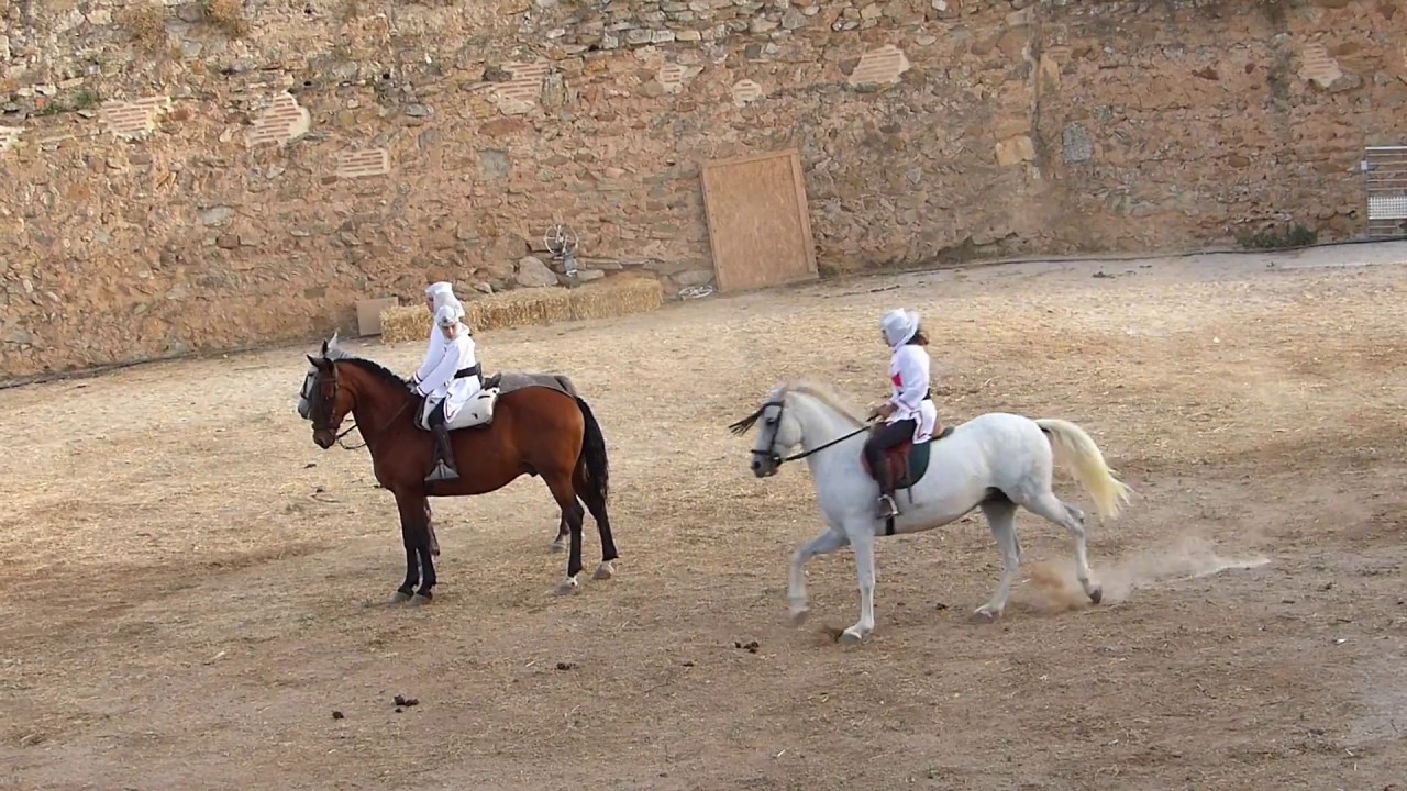 Carrusel Medieval 2018