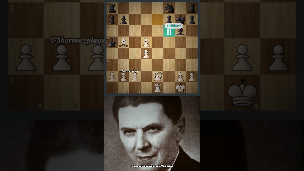 Maroczy Immortal Brilliancy ✨✨ 3 Brilliant Sacrifices #chess #chesstactics #shorts