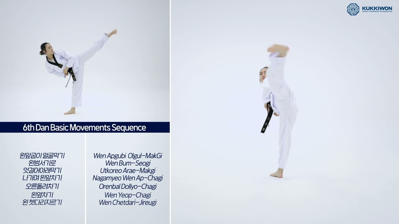 6th Dan Basic Movements Sequence