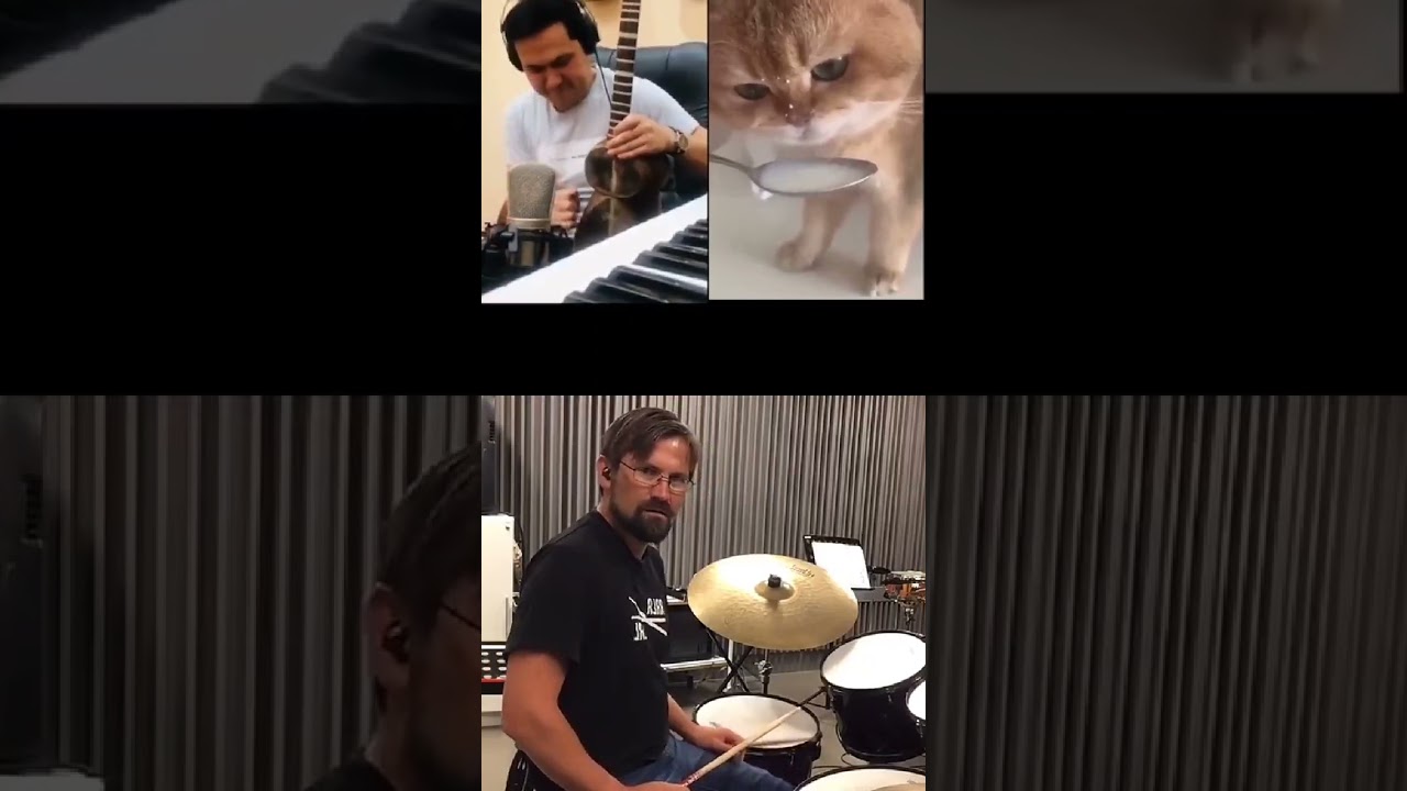what is this? #uzbekistan #cat #music #india #viral #twitter #sensational #collab #collaborations