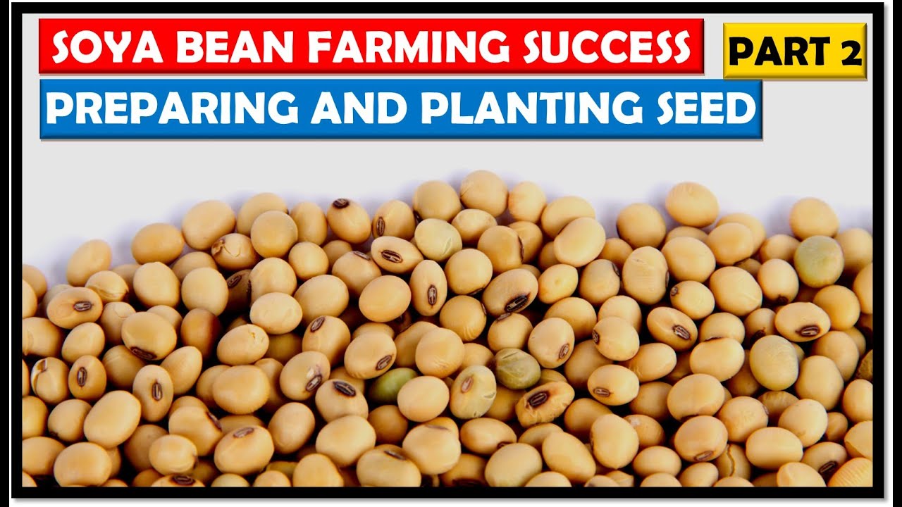Soya Bean Seed Varieties/Innoculation & Planting/First Herbicides: Soya Bean Farming Basics: Part 2