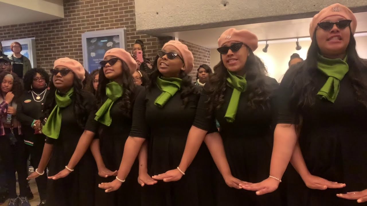GVSU Nu Theta AKA Probate Fall '19