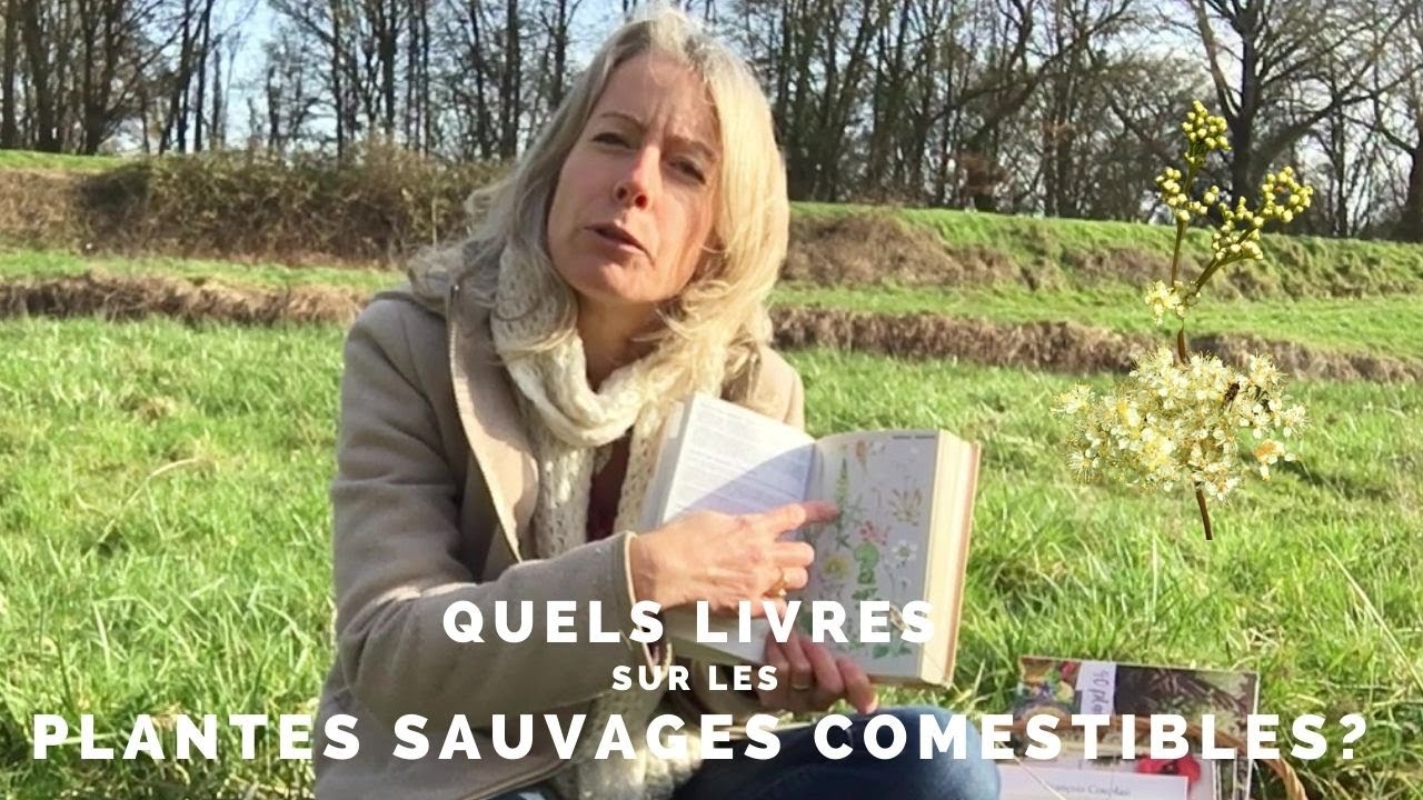 Les meilleurs livres sur les plantes sauvages comestibles
