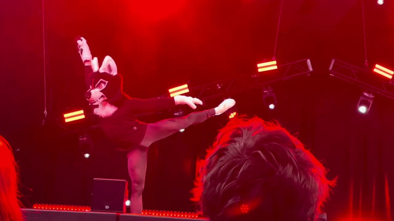 Wolfgang TFF 2025 fursuit dance competition