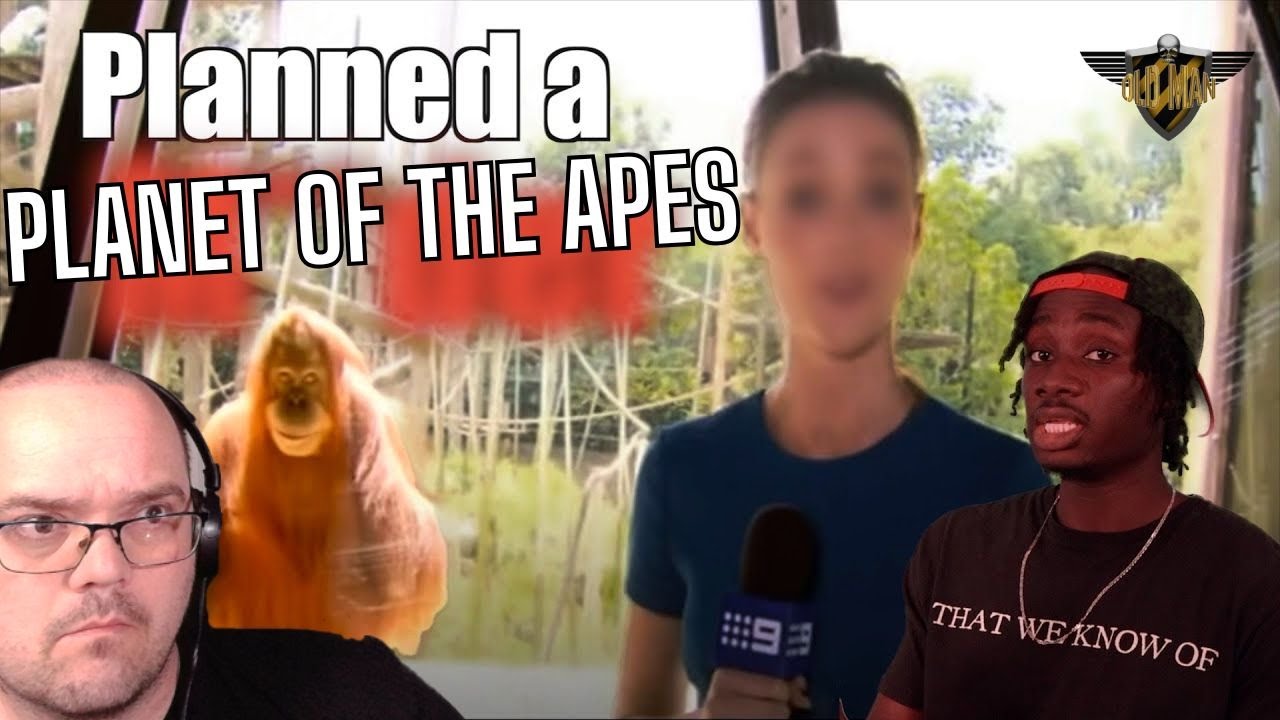 The Potentially Terrifying Intelligence of the Orangutan from Casual Geographic! - Reaction