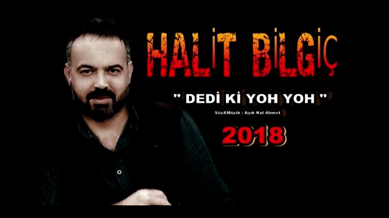 Halit Bilgi&ccedil; - Dedi ki Yok Yok ( Official Audio )
