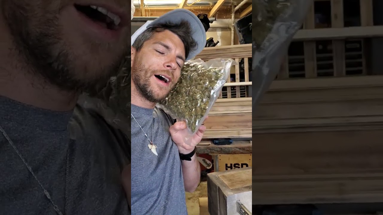 Postureweedic Pillow #homegrown #grower #viral #shorts #video #shortvideo #weed #buds #subscribers
