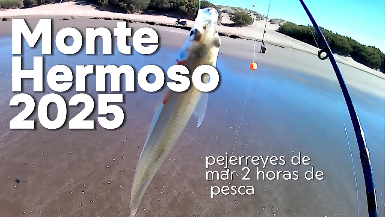 Pejerreyes 2025 de costa
