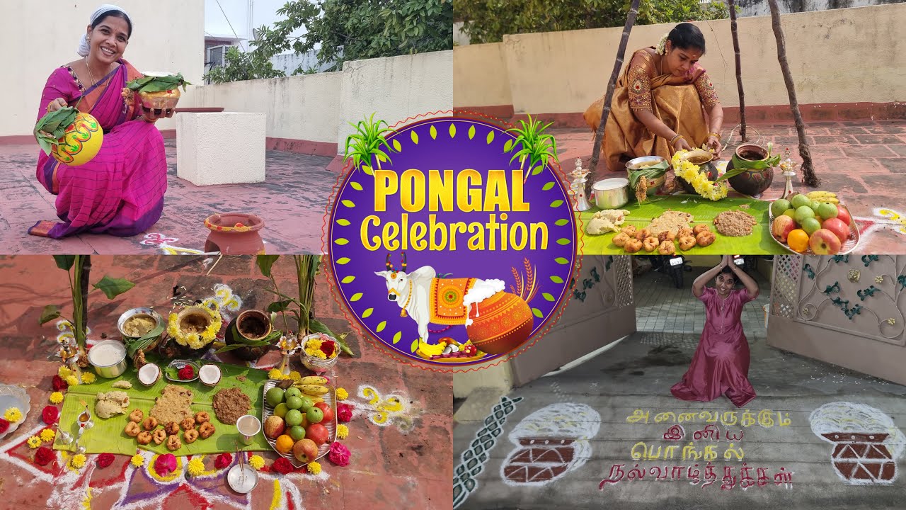 எங்க வீட்டு பொங்கல் Celebration / Pongal Vlog / தமிழர் திருநாள் / Lakshya Vlogs / Lakshya Junction