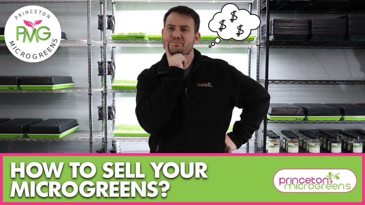 How to Sell Microgreens?