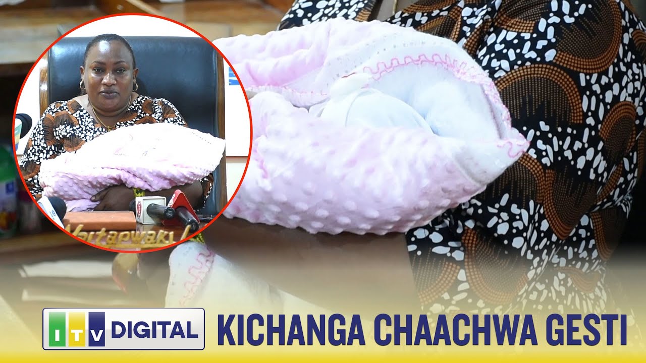 KICHANGA CHATELEKEZWA NYUMBA YA WAGENI NZEGA