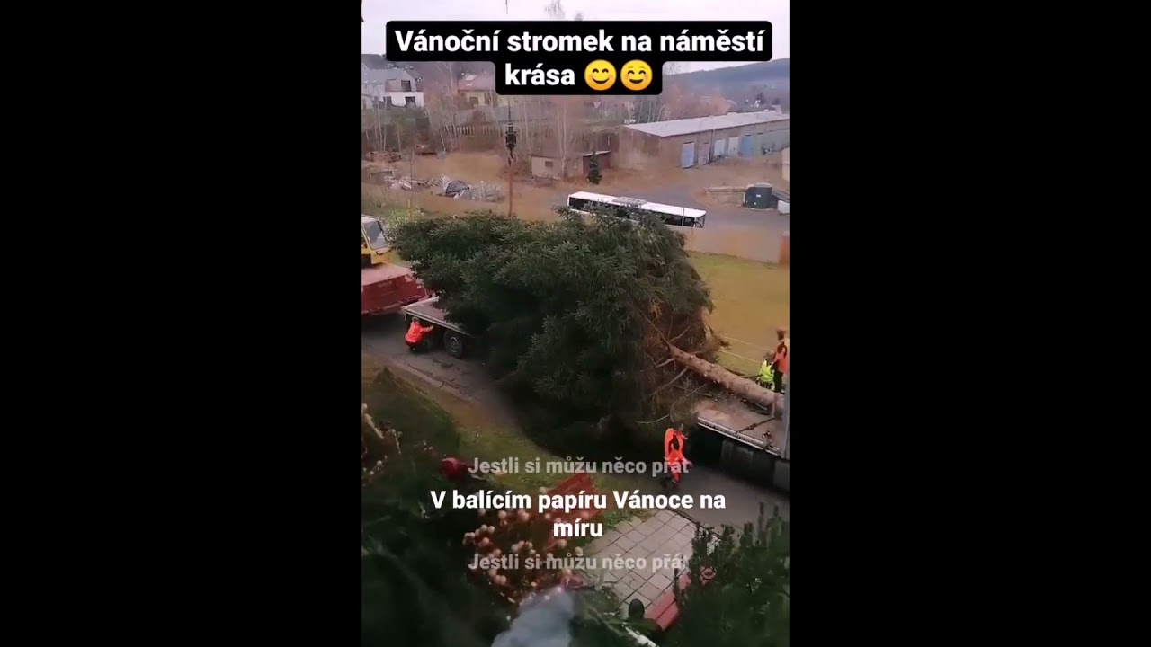 VÁNOČNÍ STROM pro město TACHOV   ulice MÁCHOVA 19  listopadu 2021
