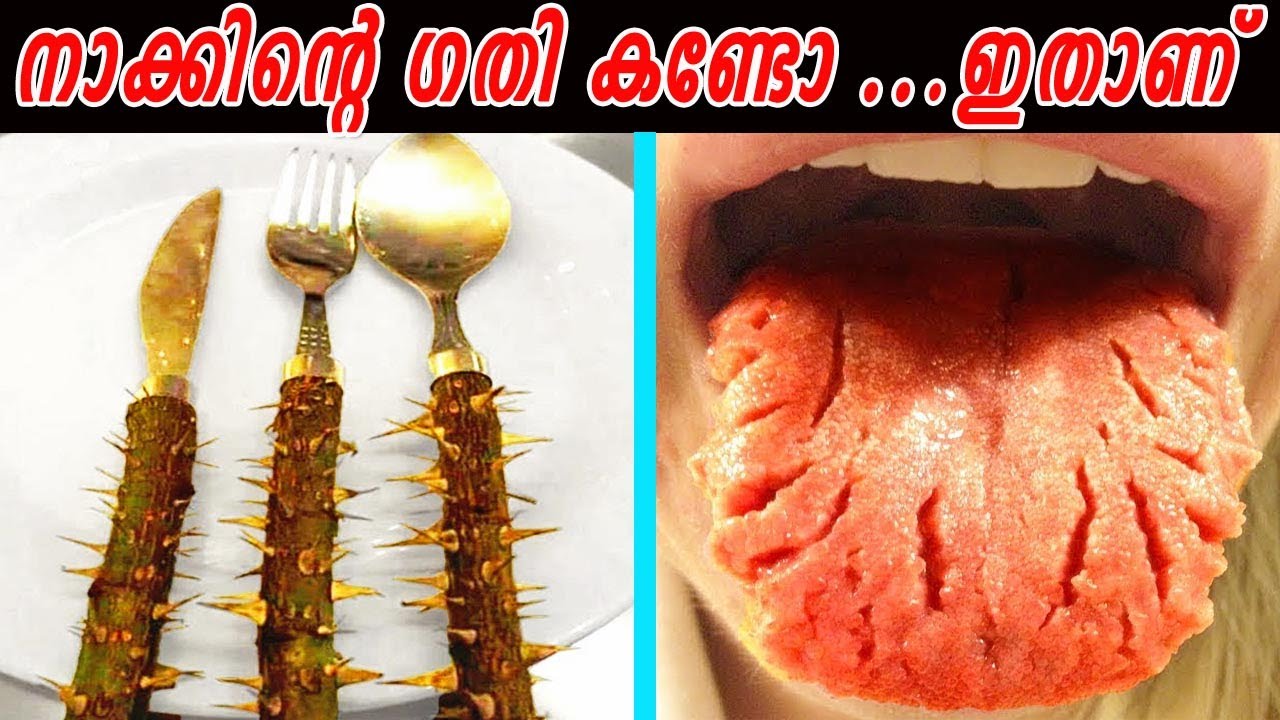 ബീഫ് ടേബിളും സ്പൂൺ മുള്ളും,പിന്നെ ഇന്നേ വരെ ഉറങ്ങാത്ത മനുഷ്യനും| ഈ കാഴ്ചകൾ നിങ്ങളെ  അസ്വസ്ഥരാക്കും