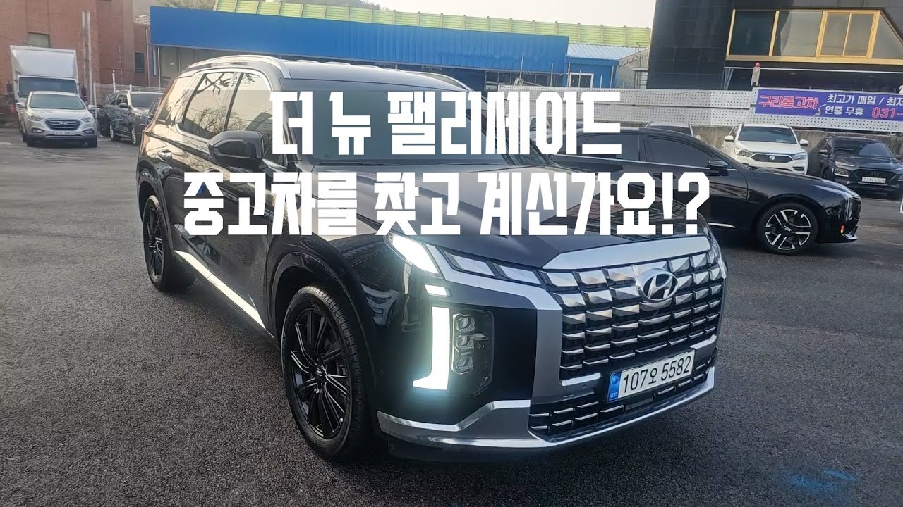 더 뉴 팰리세이드 중고차를 찾고 계신가요 ? 경기도 하남 / 미사 중고차