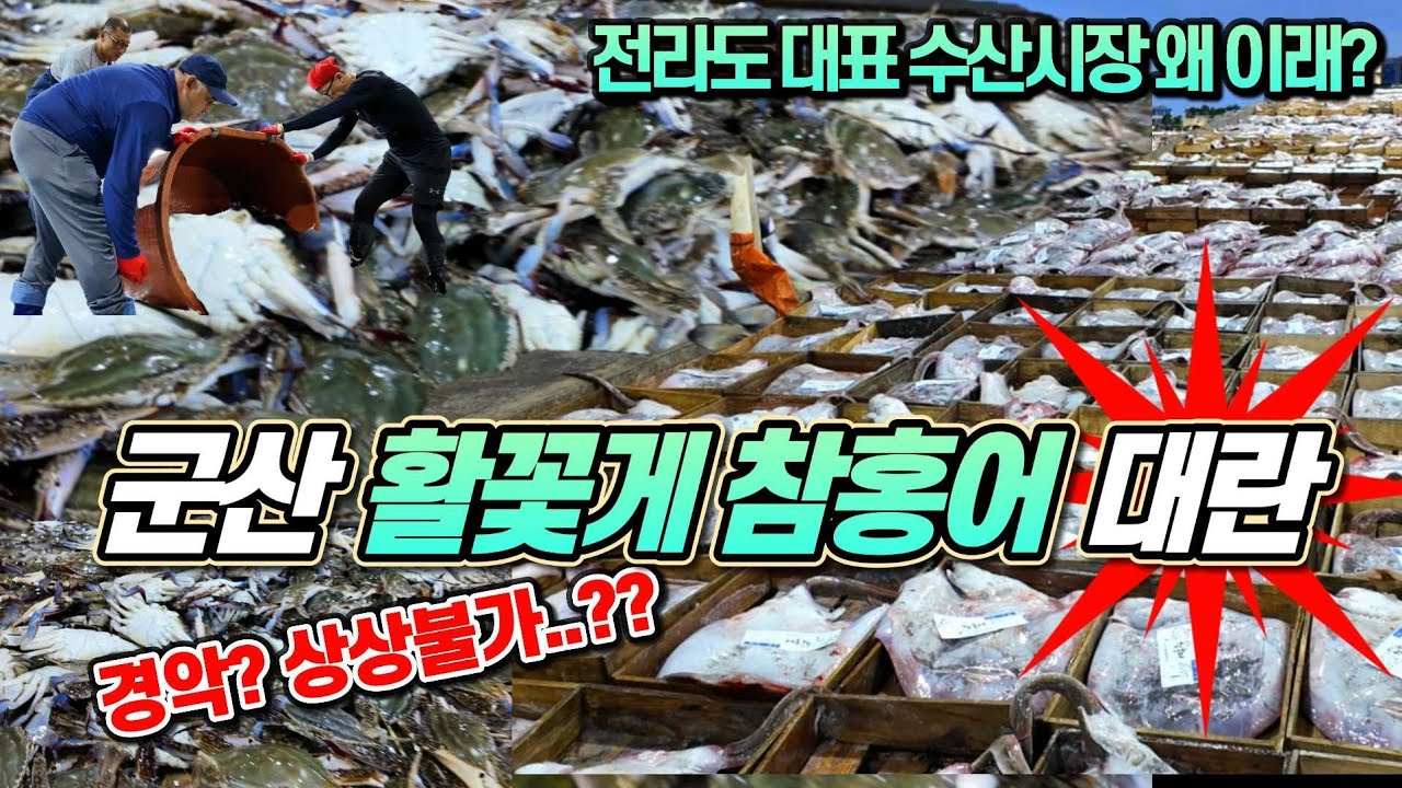 경악? 군산 살린 수산시장 왜? 꽃게 참홍어 갑오징어 이런 가격 가능해?? 전라도 대표 수산시장 난리났다!  