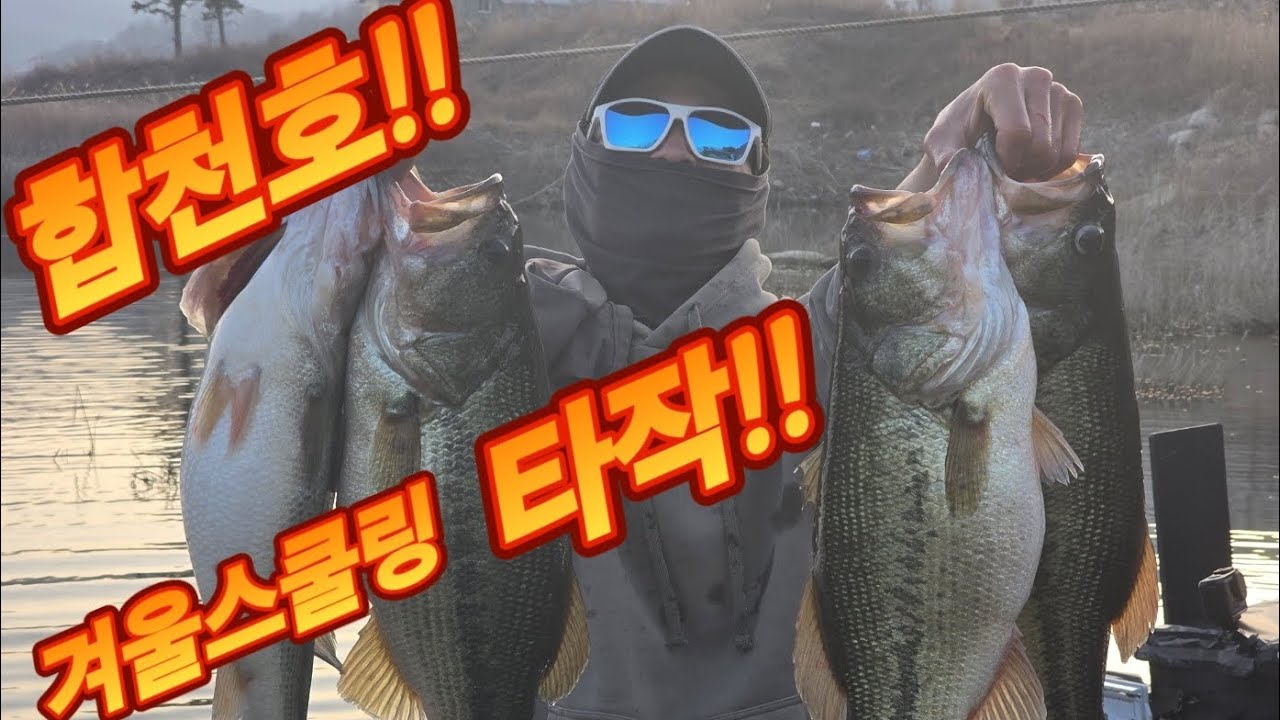 합천호 겨울 스쿨링 불빠따! #배스낚시 #낚시 #fishing 