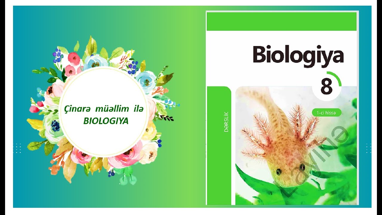 Yeni Biologiya 8 dərsliyi barədə düşüncələrim (I hissə)