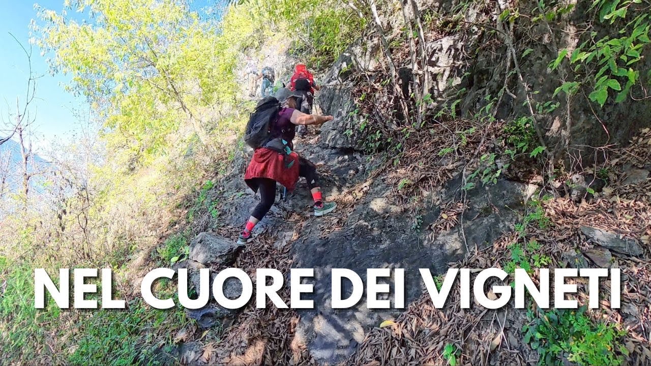 TRA LE VIGNE DI SASSELLA-VALTELLINA