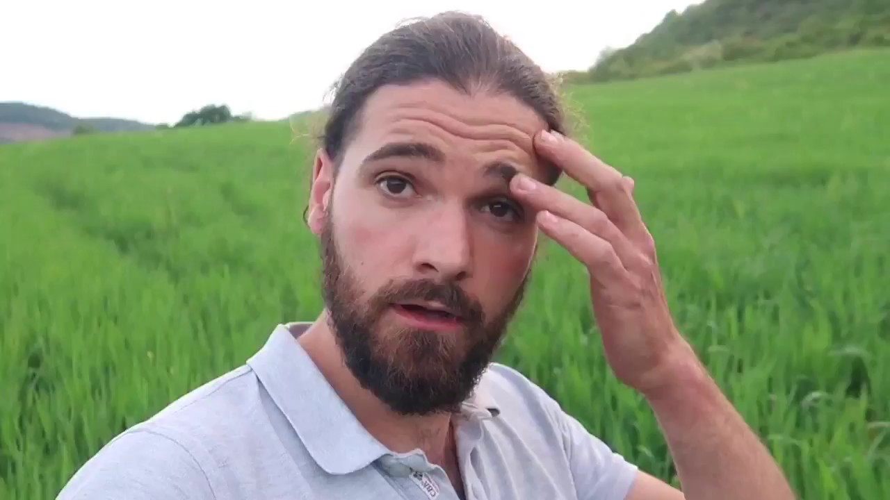 Alors ces semis à la volée, bien ou pas?