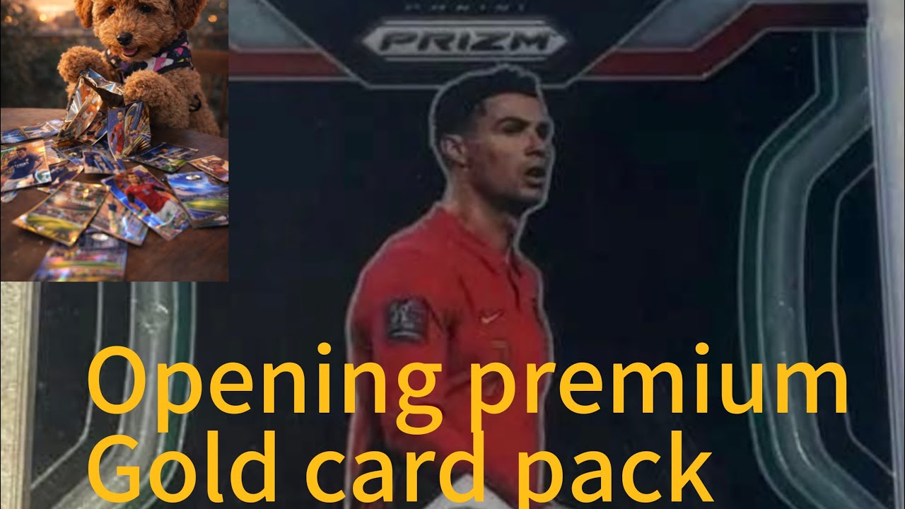 Fifa Gold Premium Pack Opening!
