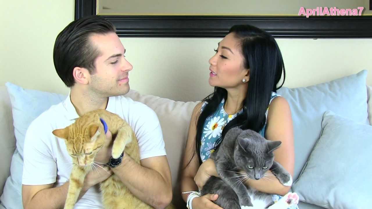 ✿ FURRY FRIEND TAG with my husband! ✿ Sunrise, Charlie, Bobby! CATS!