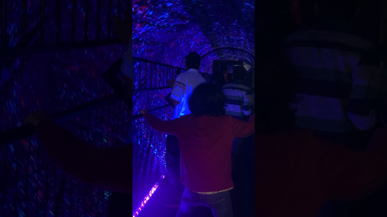 #Most Coolest Illusion Ever😎#Vortex Tunnel #Fun#Illusion #Shorts