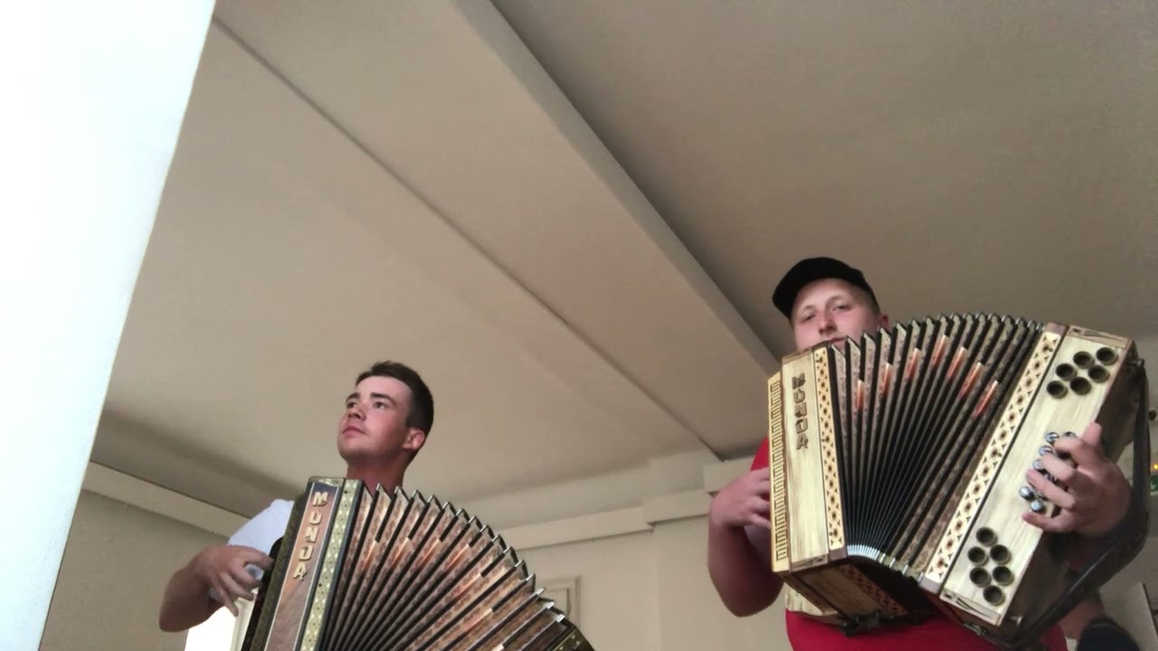 Ansambel bratov Avsenik-Ostal sem sam