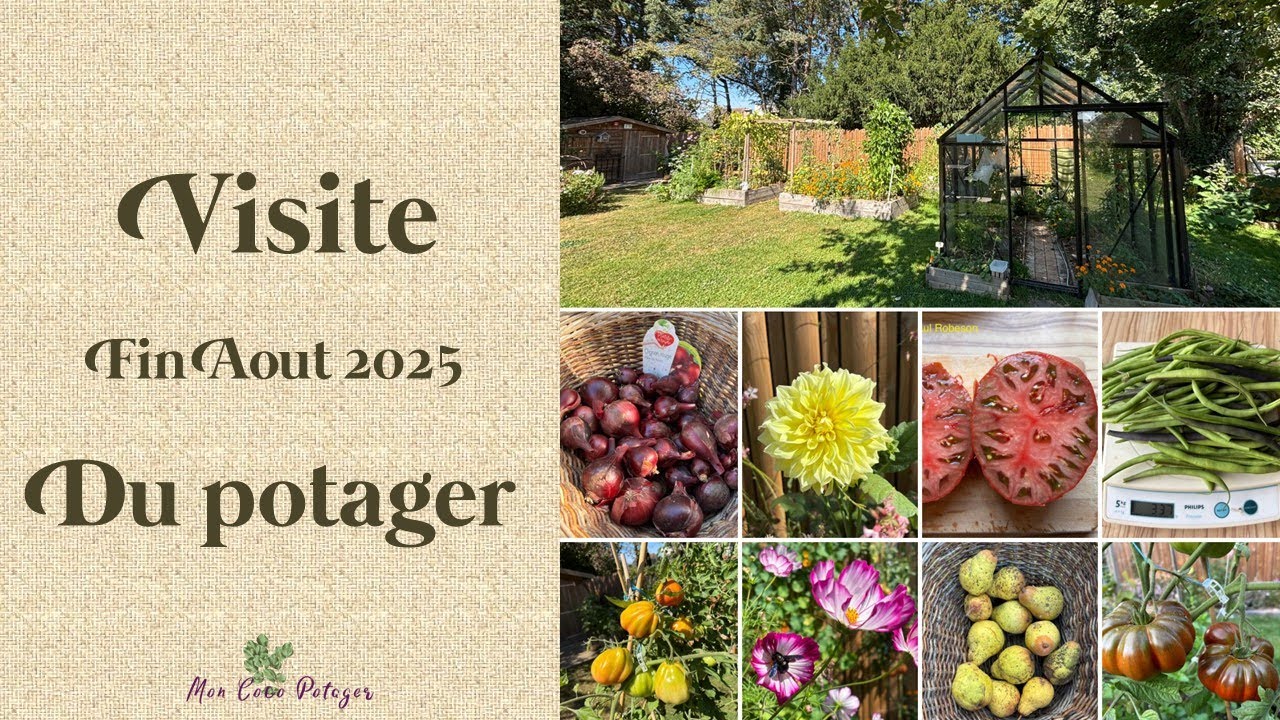 Visite du potager et de la serre à fin aout 2025