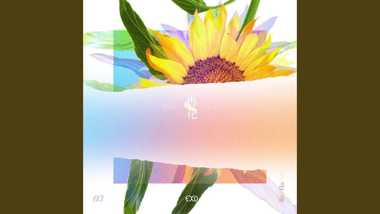 How Why (Instrumental)