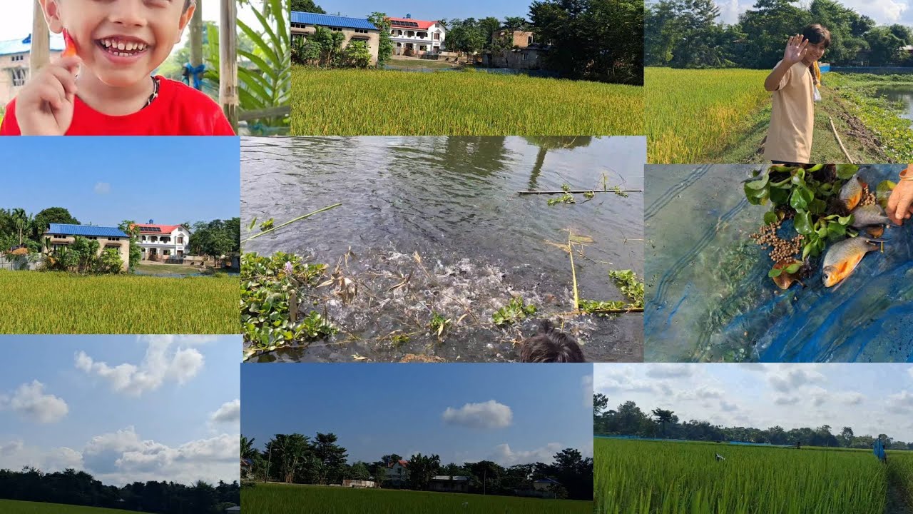 Arham বাবাকে নিয়ে বাবার বাড়ির পুখুৰীত  মাছেৰ আদার দিতে আশে  কি কি করলাম 