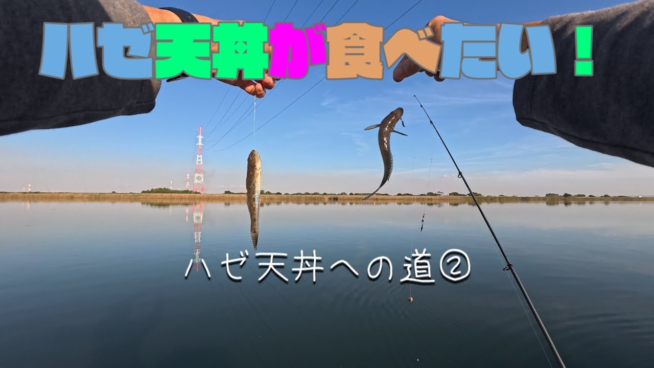 【ちょい投げ釣り】ハゼ天丼への道②
