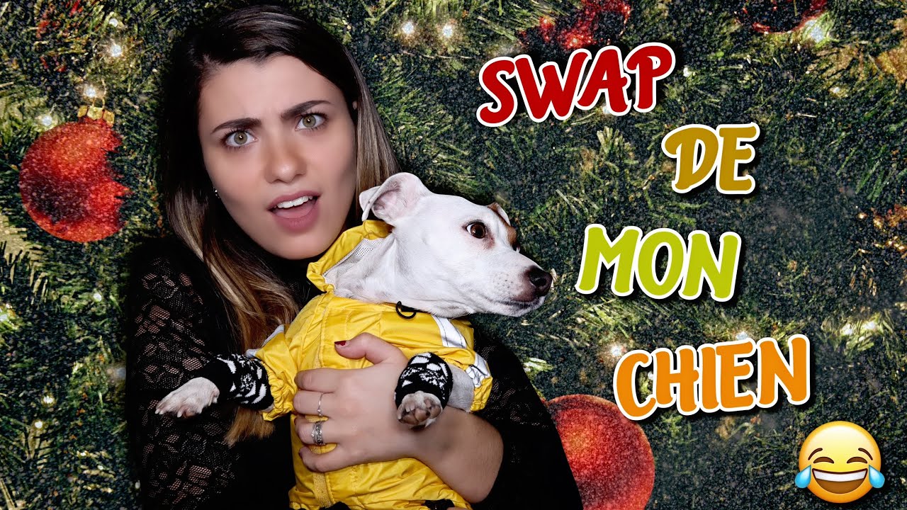 SWAP DE NOËL DE MON CHIEN !!! OnlyAmandine