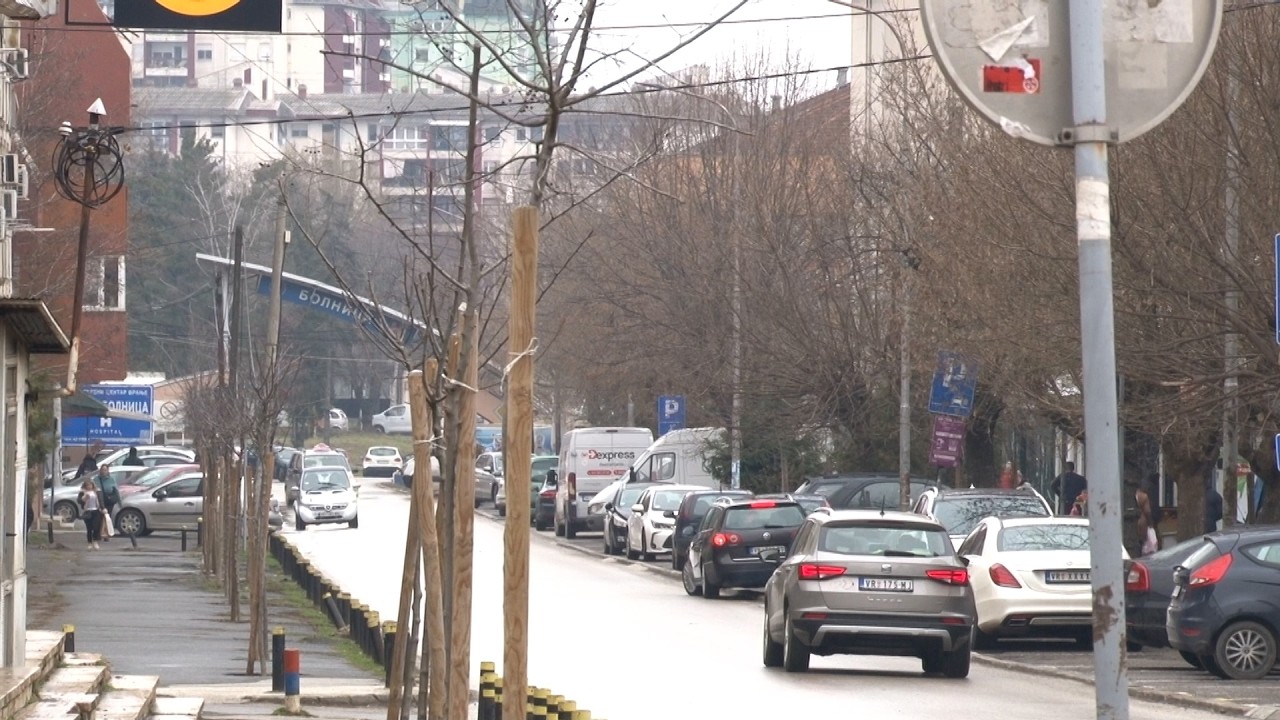Gradsko zelenilo JKP Komrad sadnja novih stabala /RTV Vranje/ 12. 2. 2026.