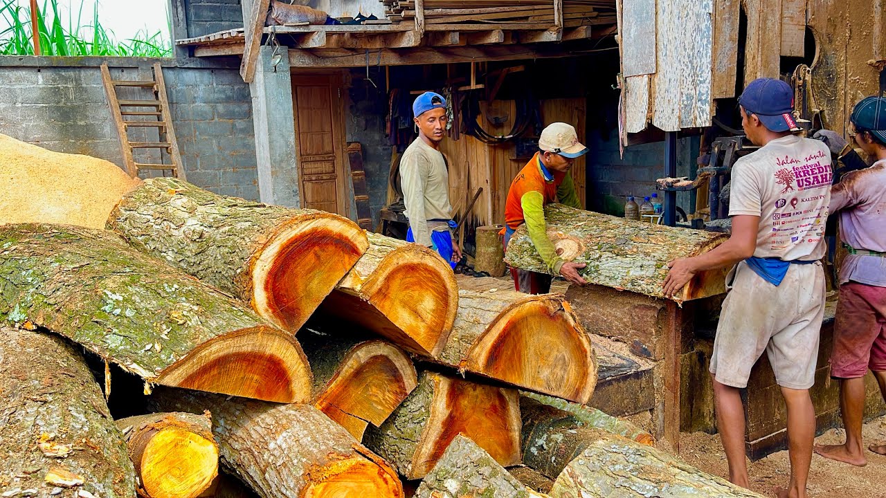 Double Your Fortune!! The Skill of Sawing Two Large Trembesi Wood Planks and Beams 