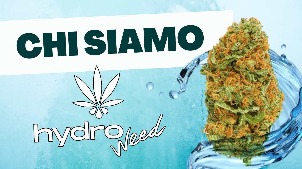 La storia di Hydroweed