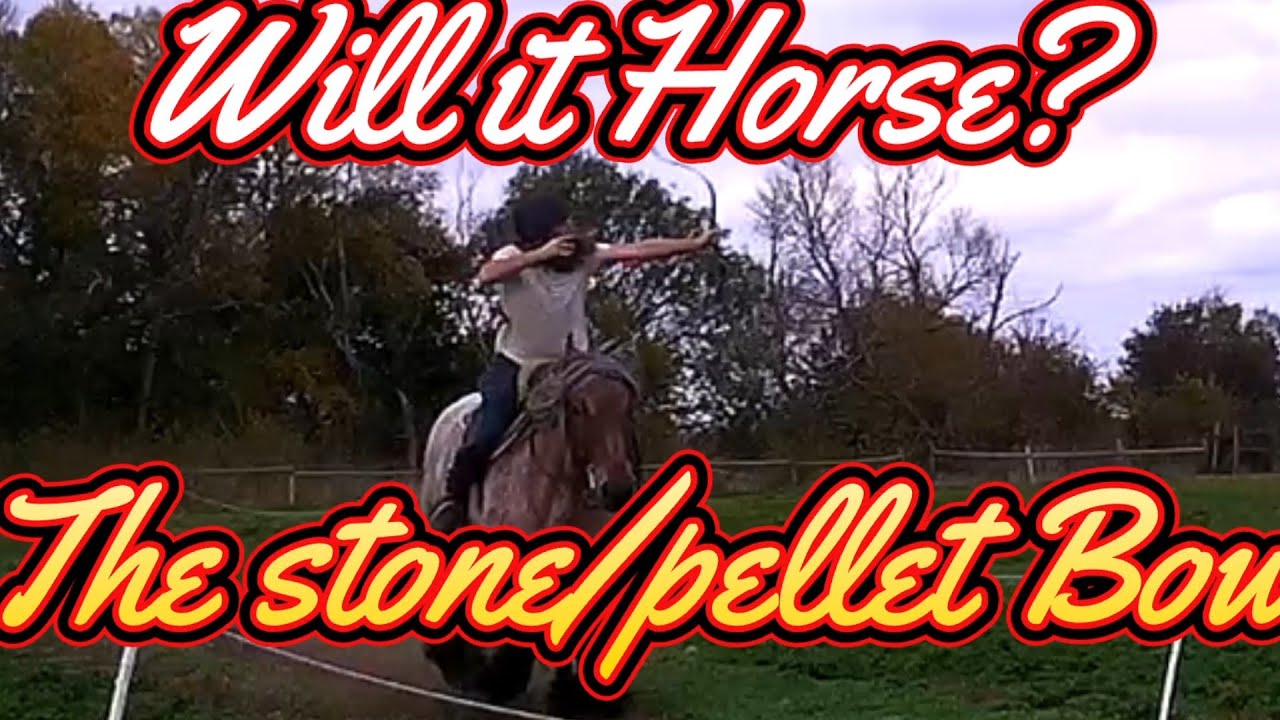 Will it horse the stone/pellet bow