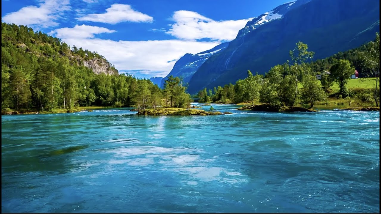 When Thy Song Flows Through Me - Live Kirtan: Paramahansa Yogananda's Cosmic Chant