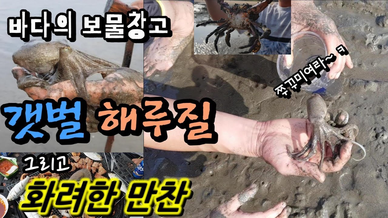 갯벌 [해루질] 해보기!!  한 끼 거하게 먹자~ 쭈꾸미,꽃게,소라 등등