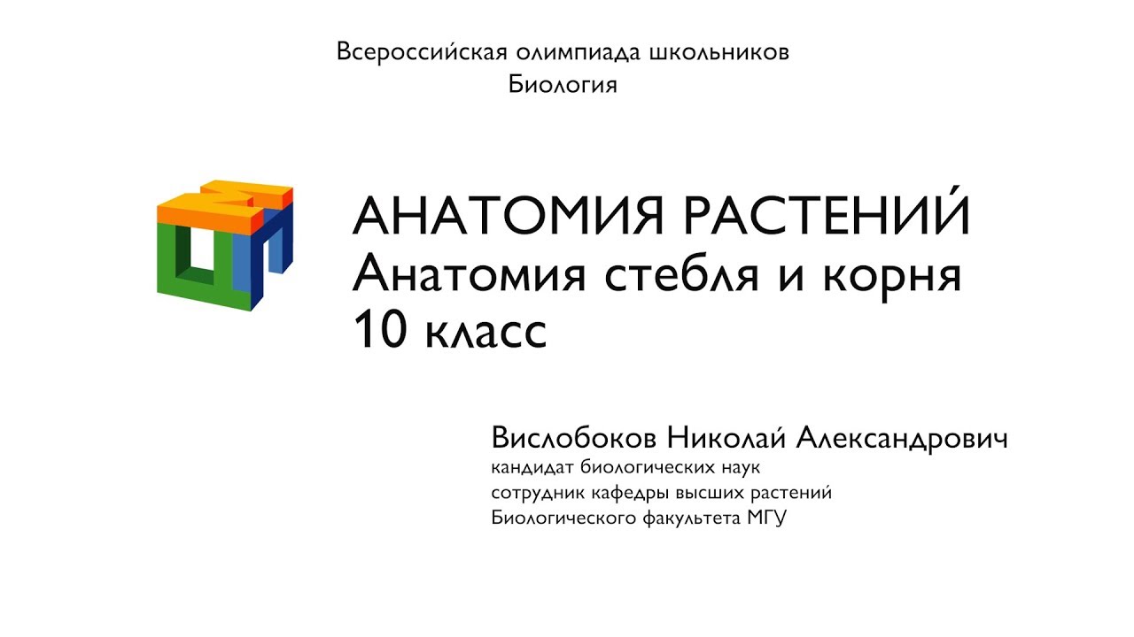 Биология.  Вислобоков Н.  А. Анатомия растений. Анатомия стебля и корня.  10 класс