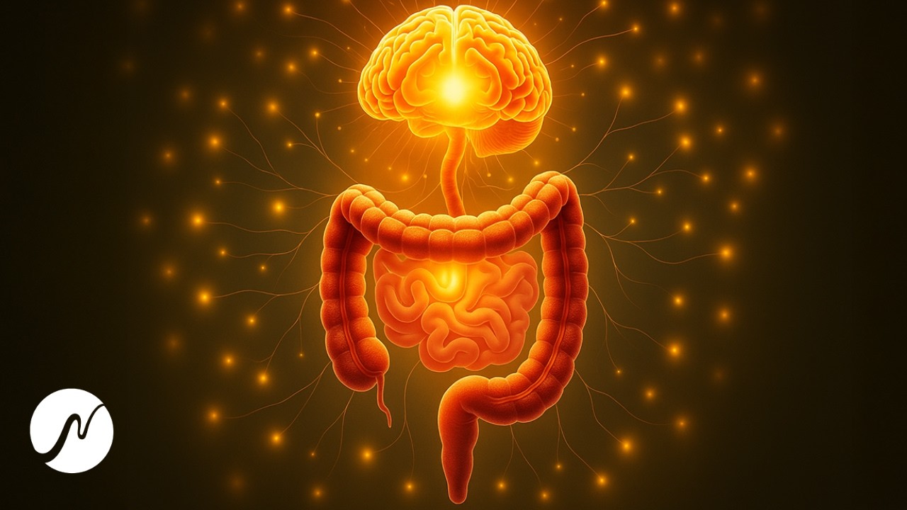 Gut Harmony: 292 + 7 Hz Frequencies for Your Second Brain (Enteric Nervous System)